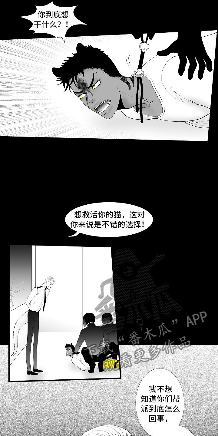 第8话7