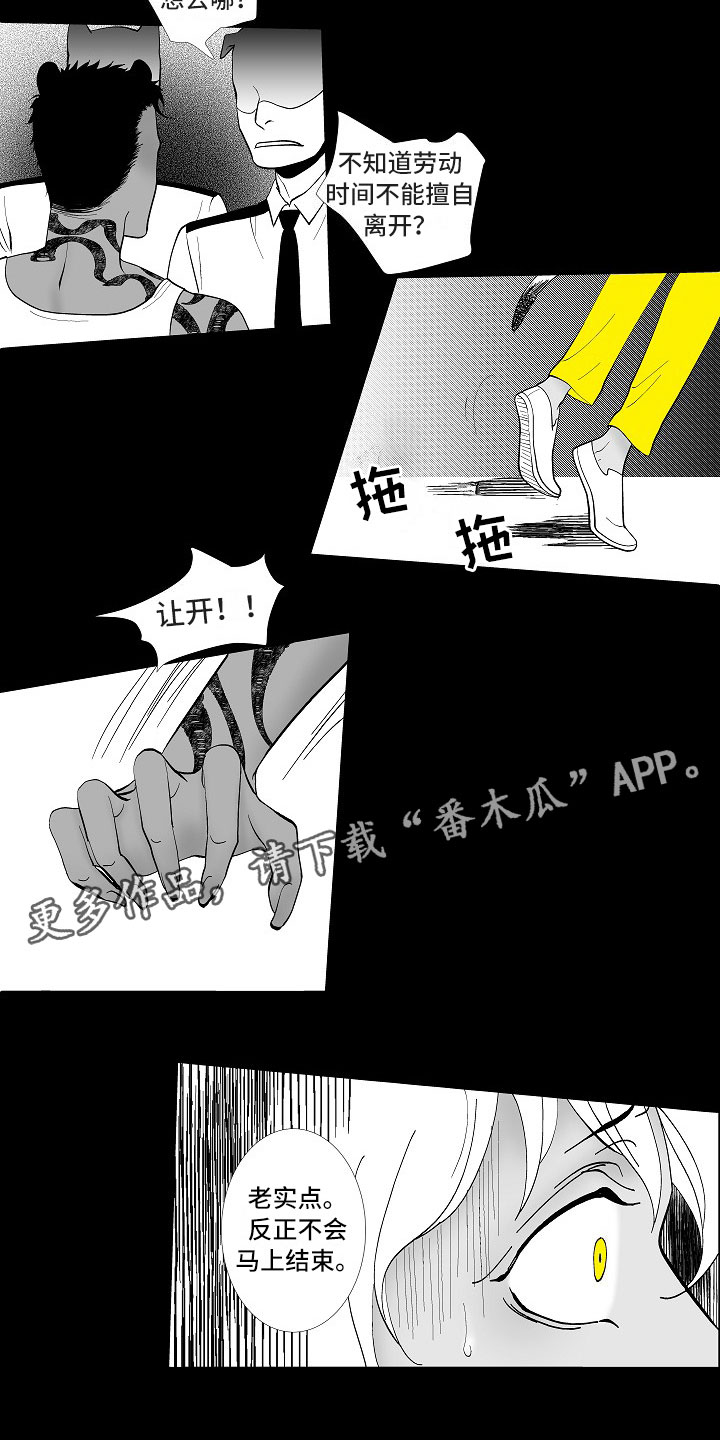 第5话13