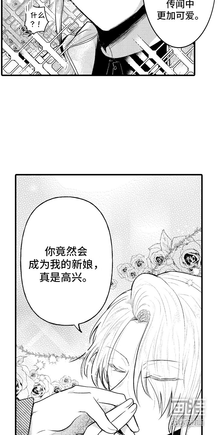 第13话13