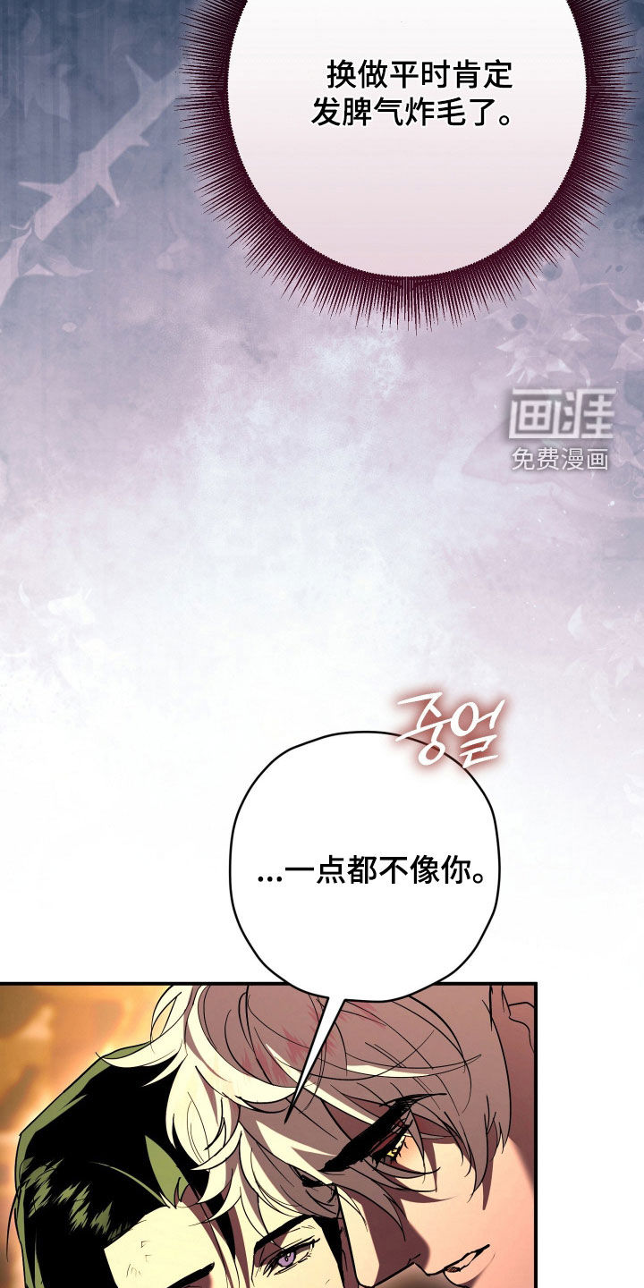 第49话17