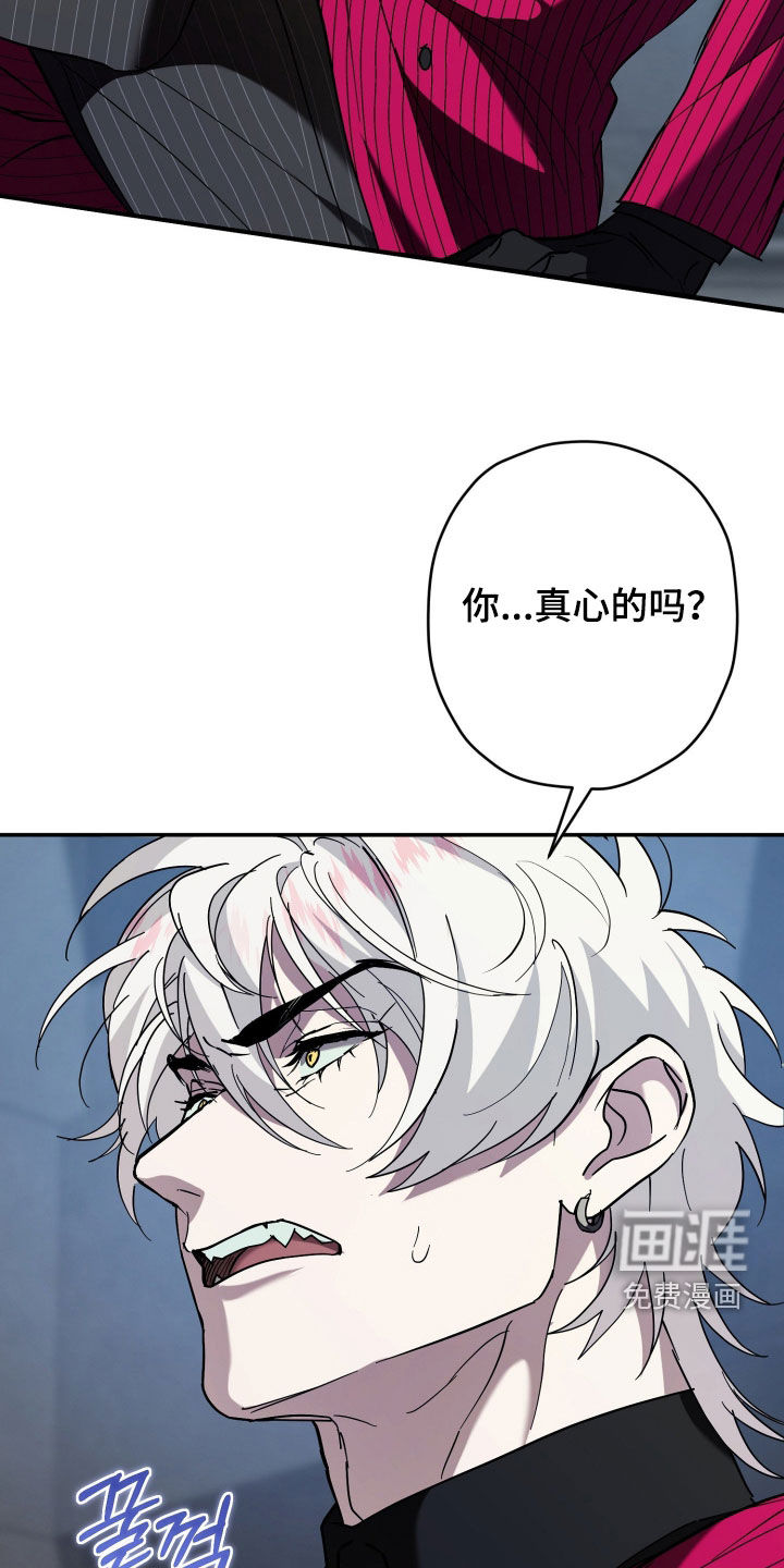 第24话24