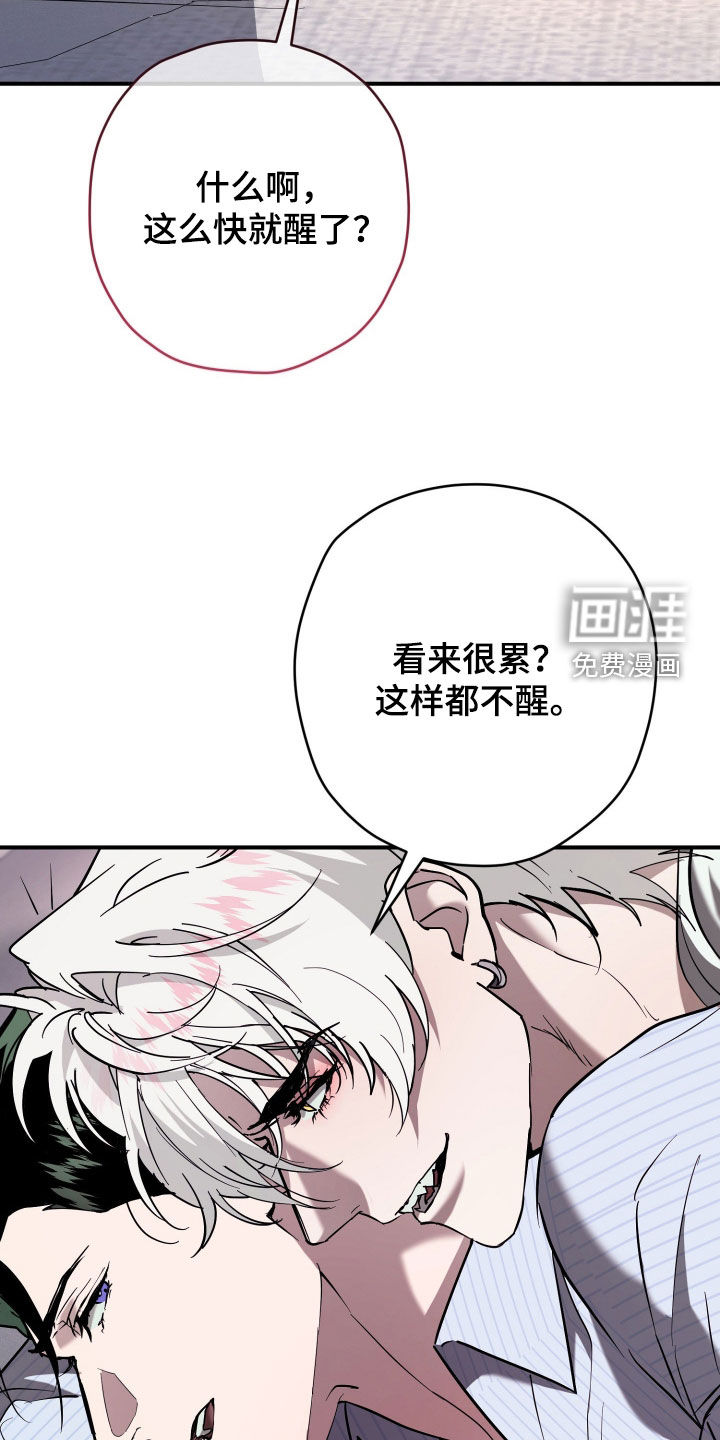 第41话3