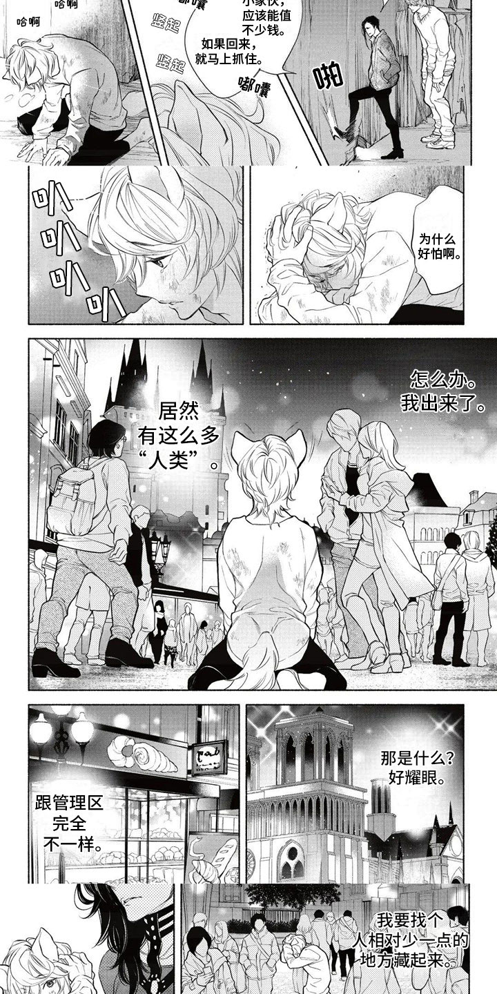 第30话2