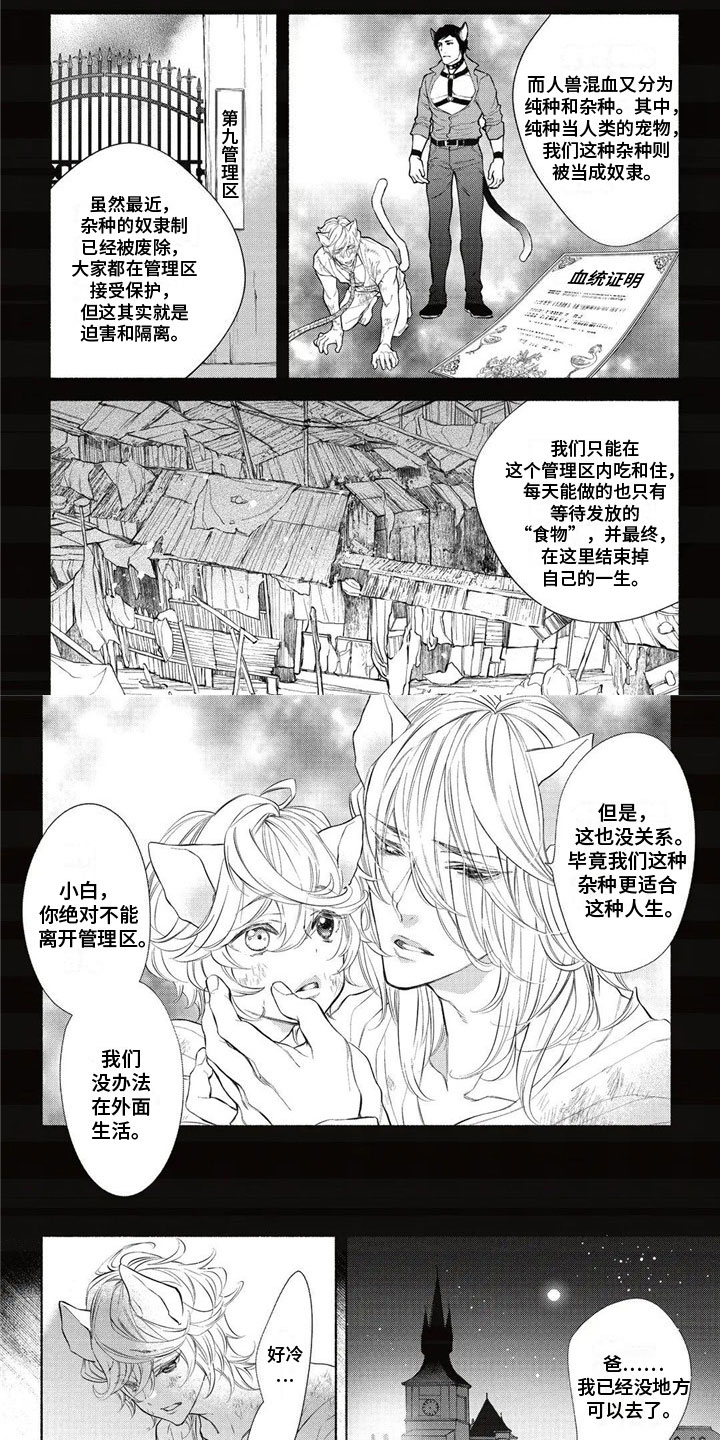 第29话0