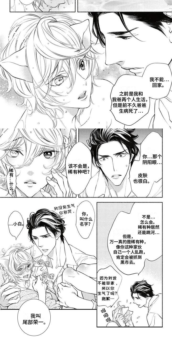 第29话17
