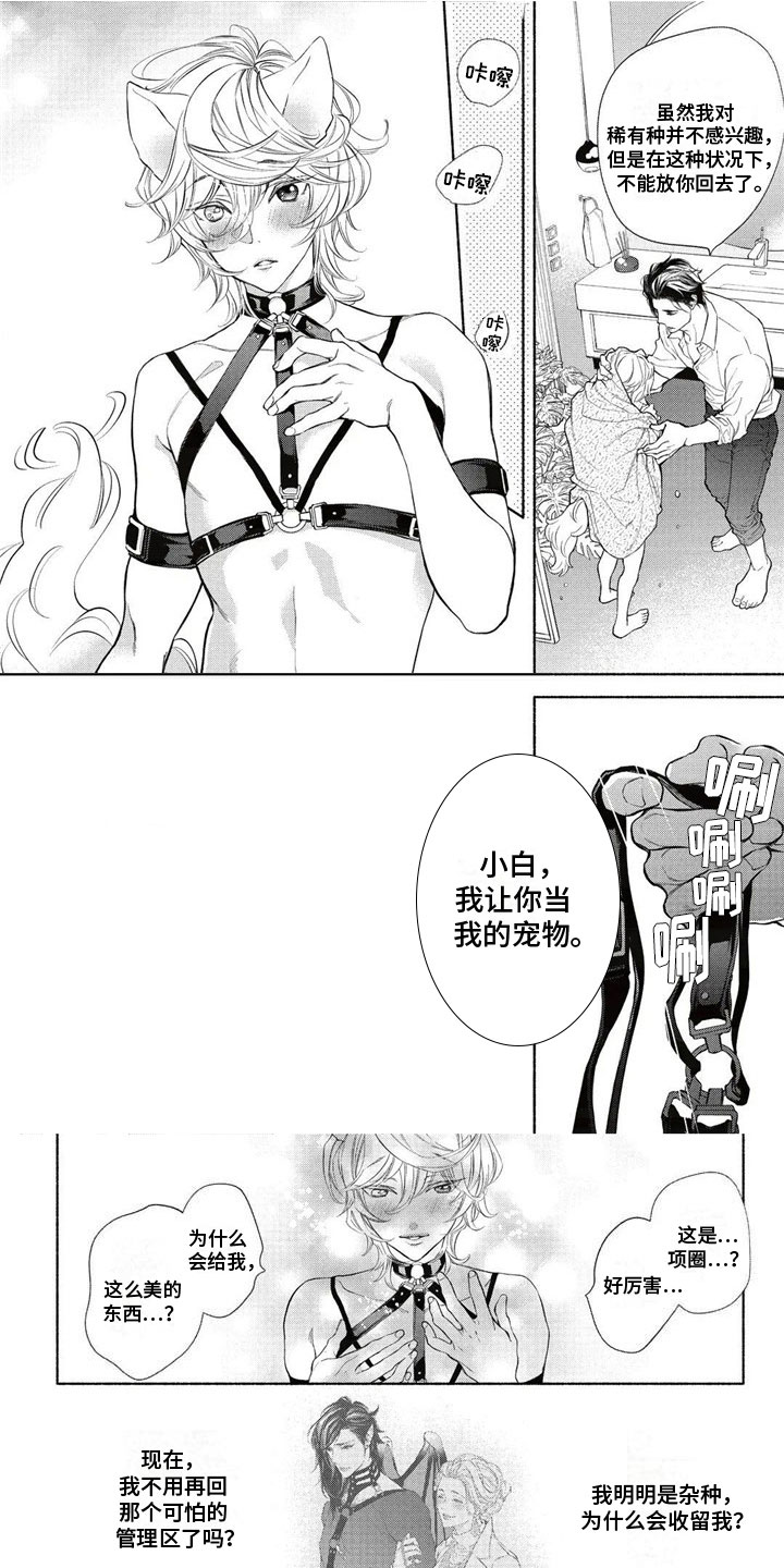 第28话0