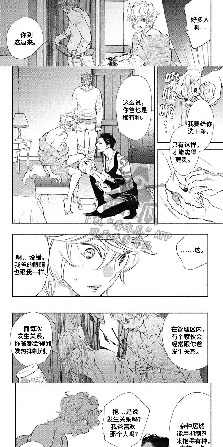 第21话1
