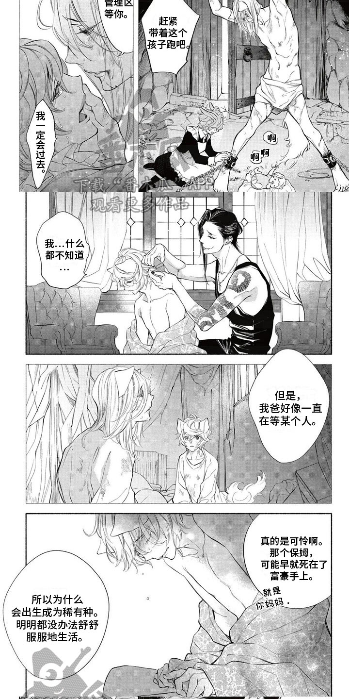 第21话3