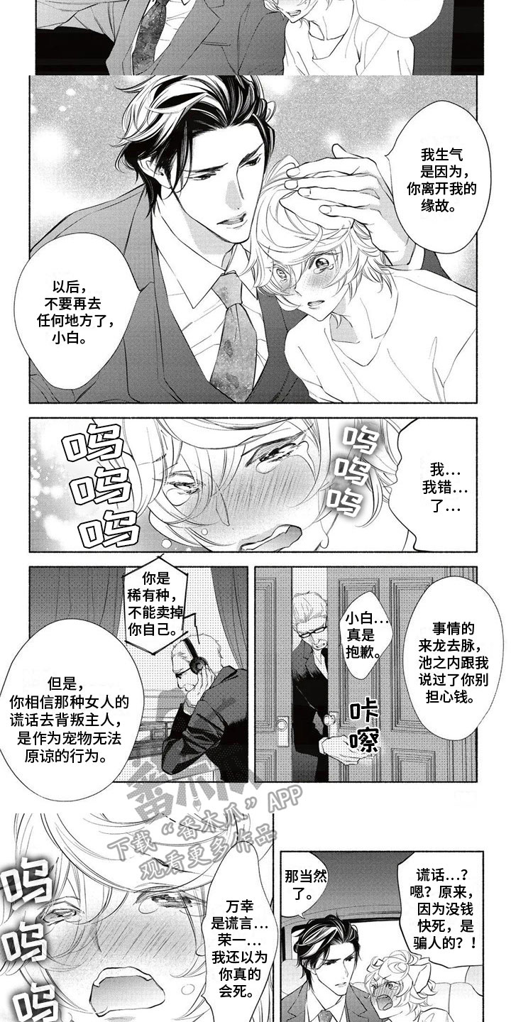 第20话5