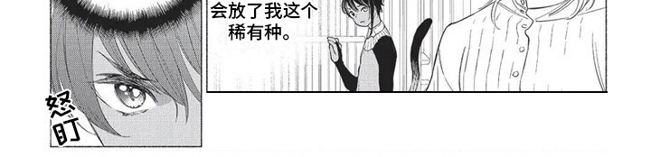 第17话8