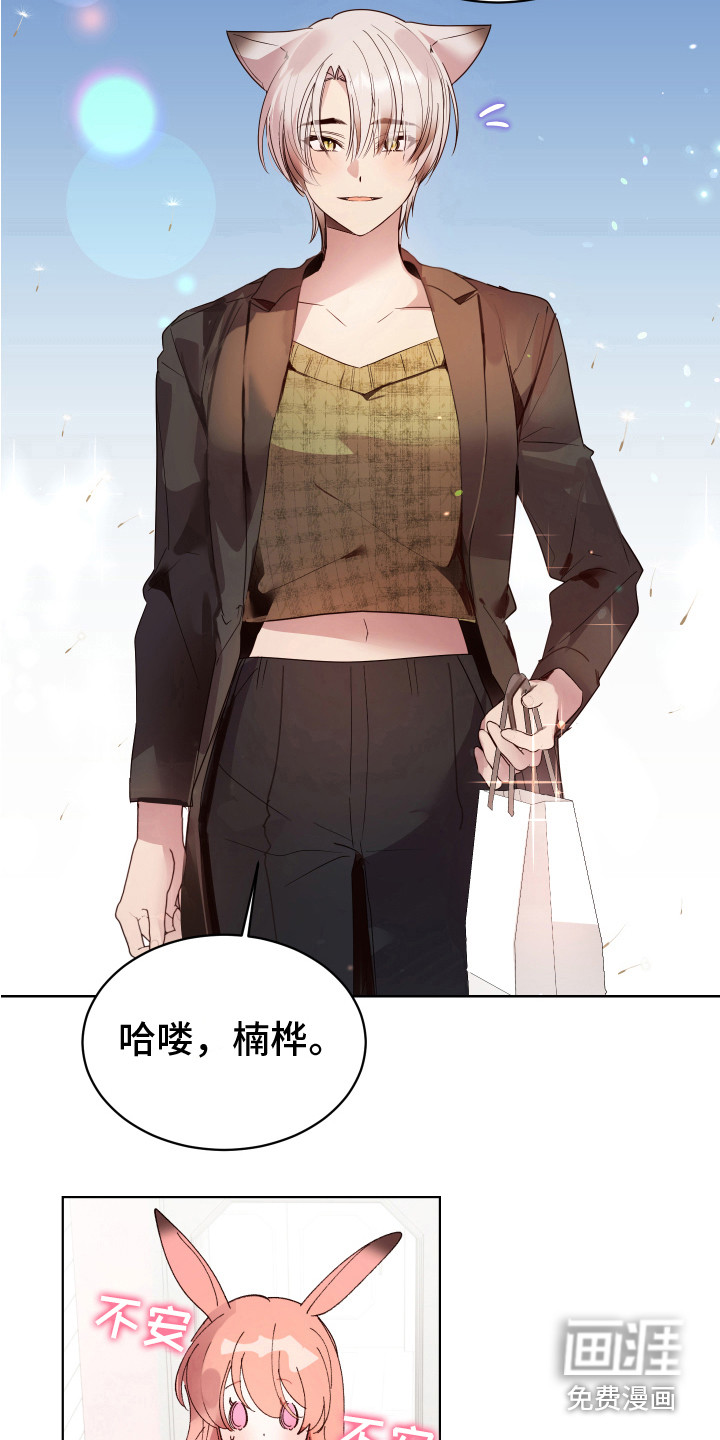 第14话11