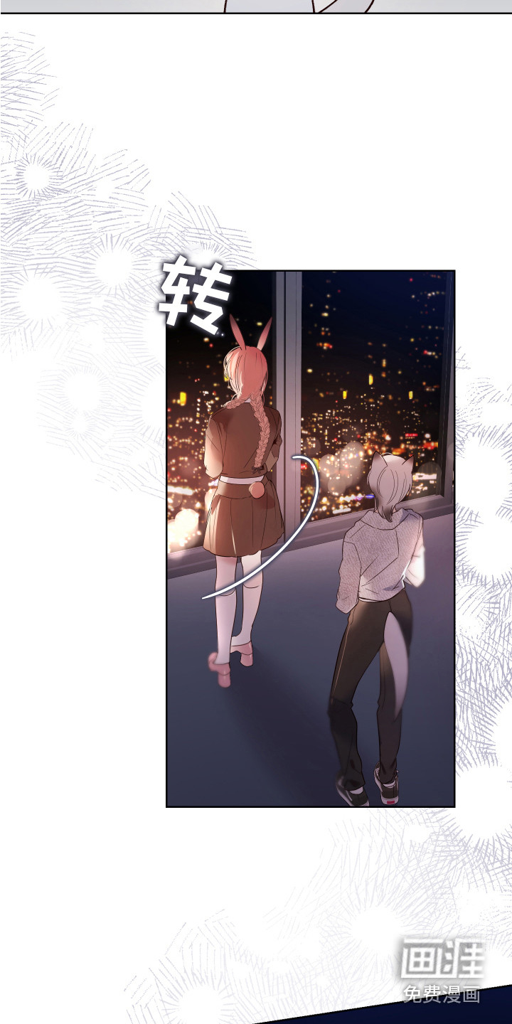 第13话11