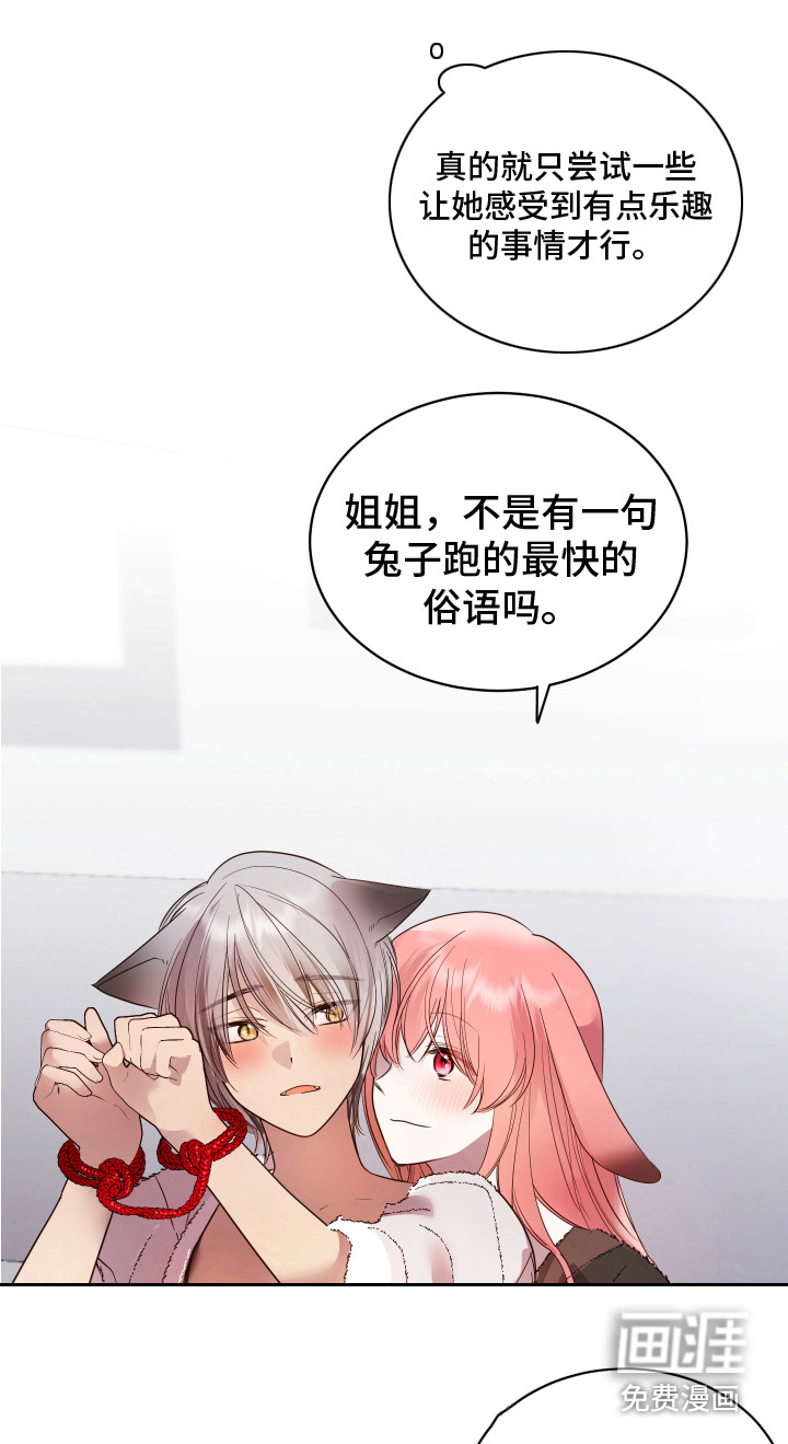 第11话17