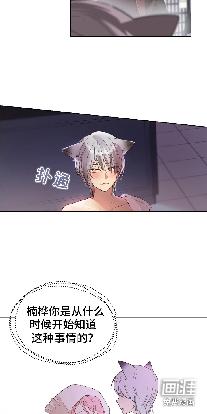 第11话6