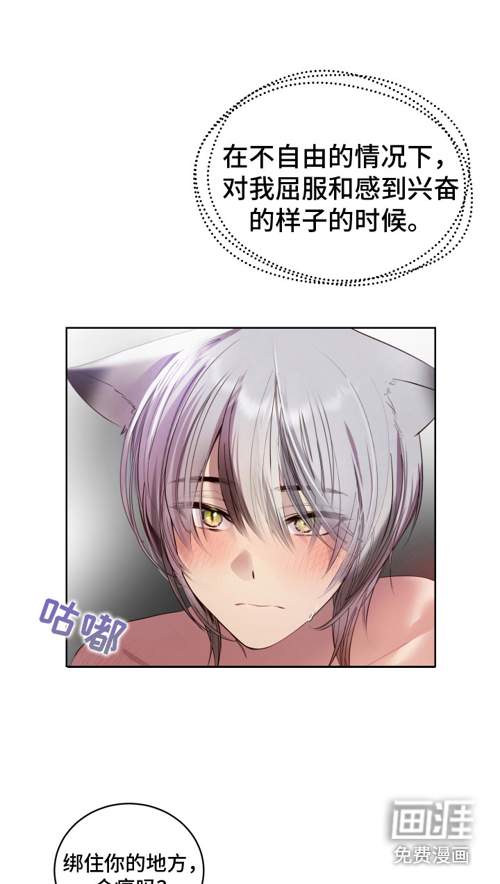 第11话9