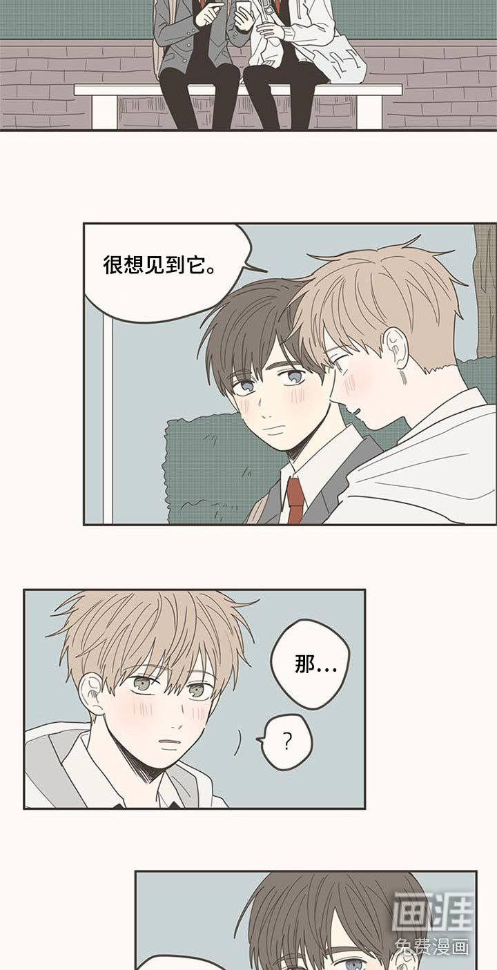 第109话11