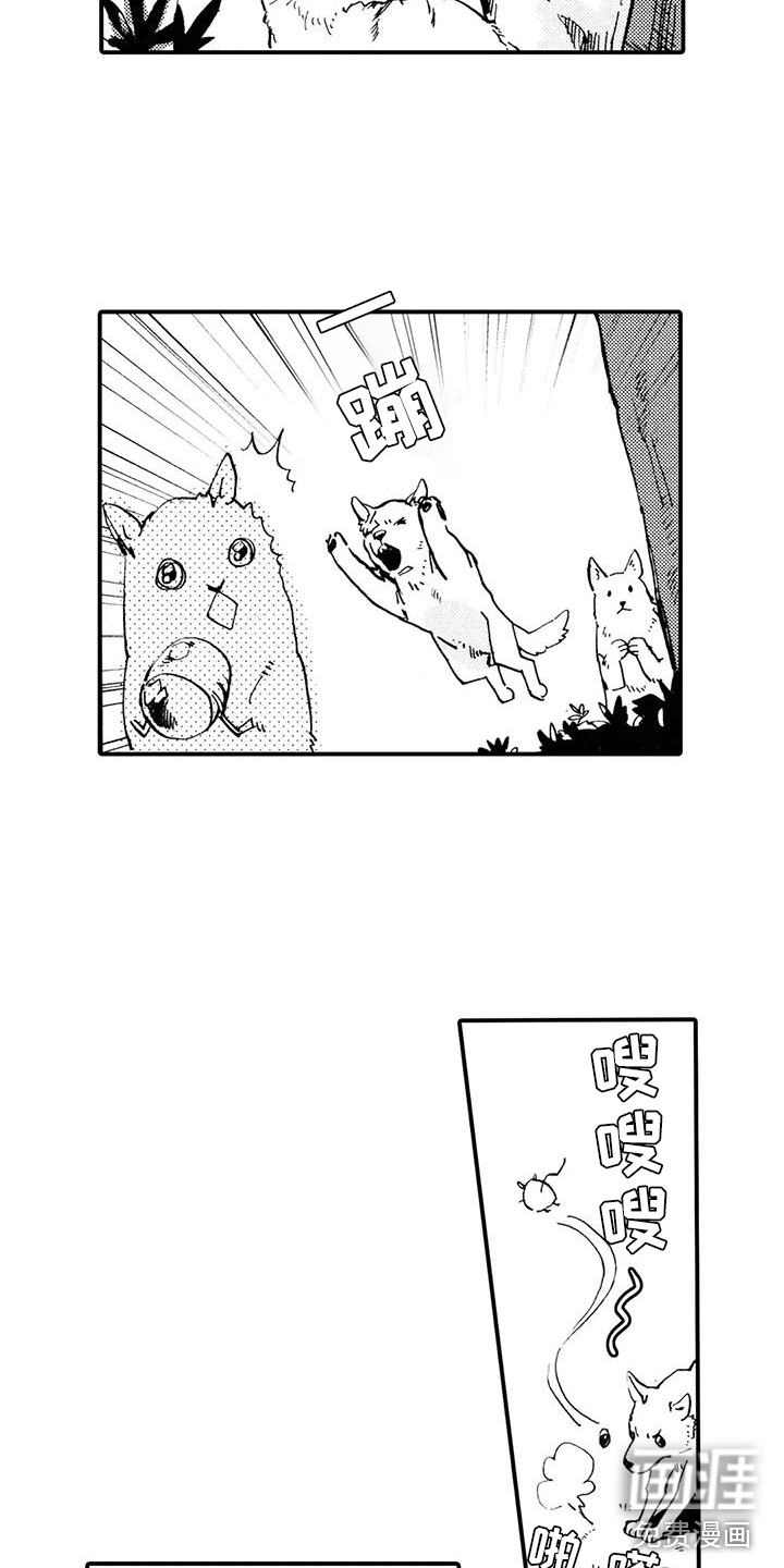 第31话11