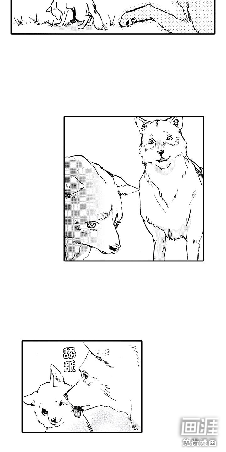 第31话13