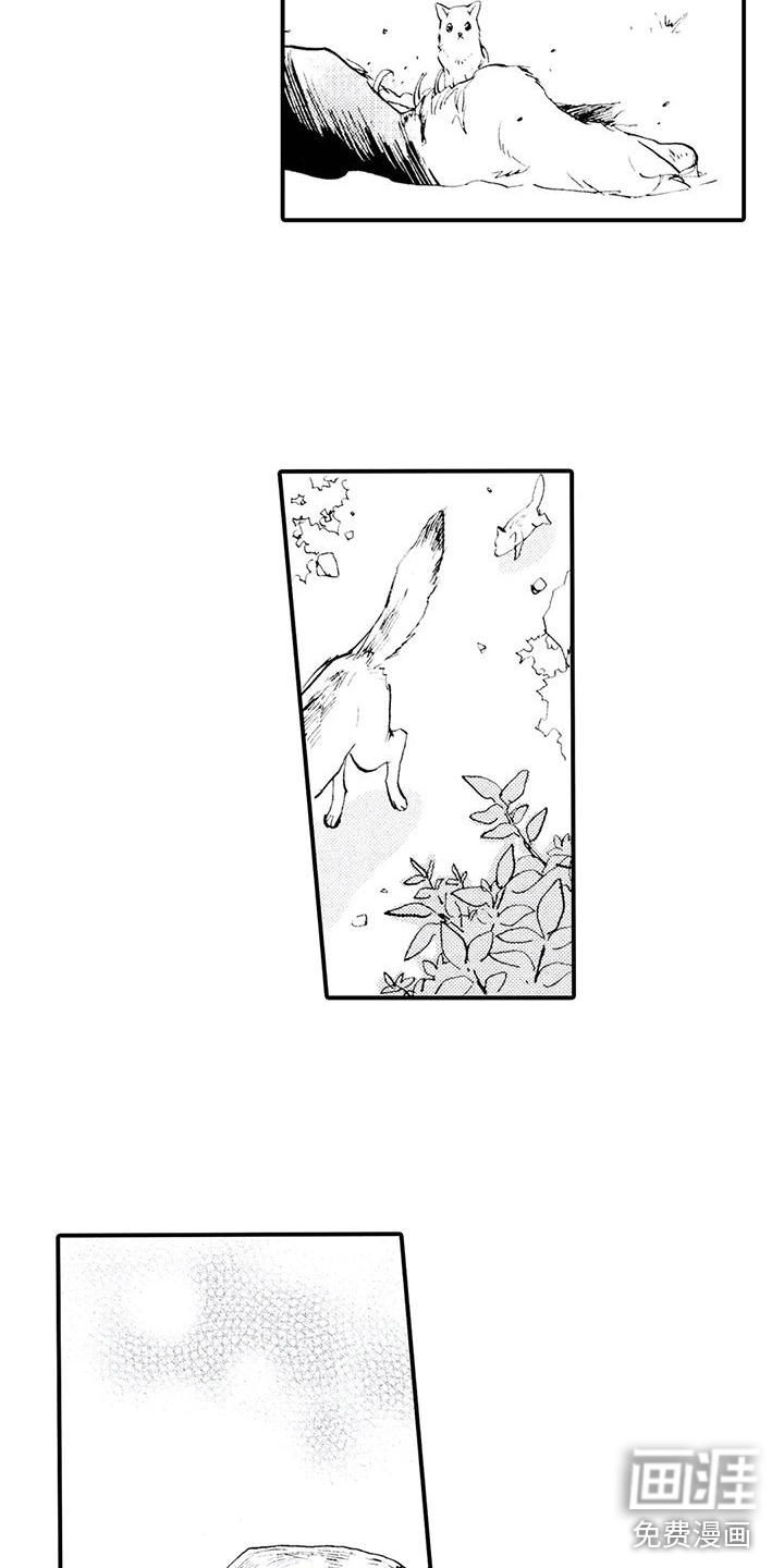 第29话11