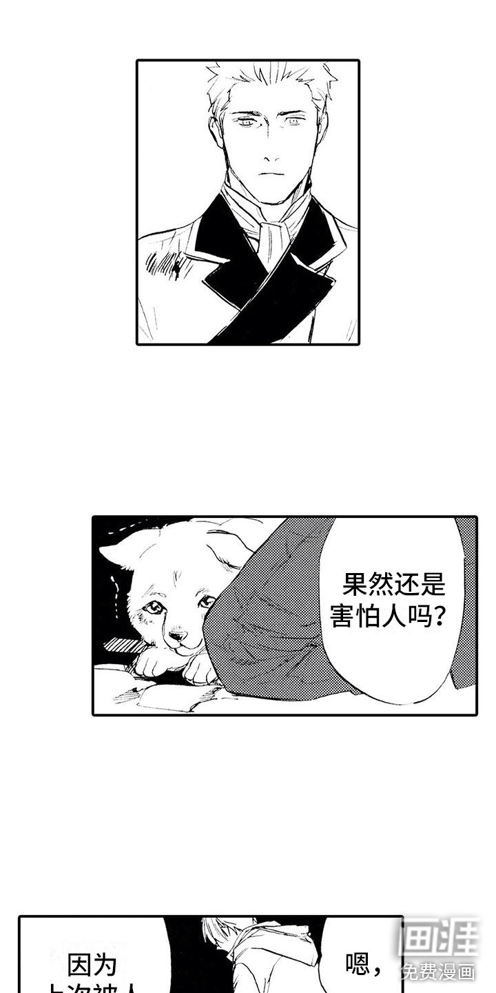 第11话6