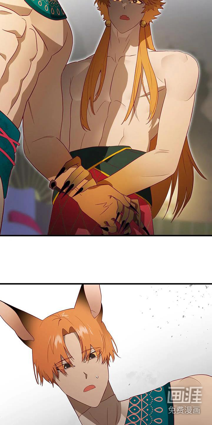 第166话5