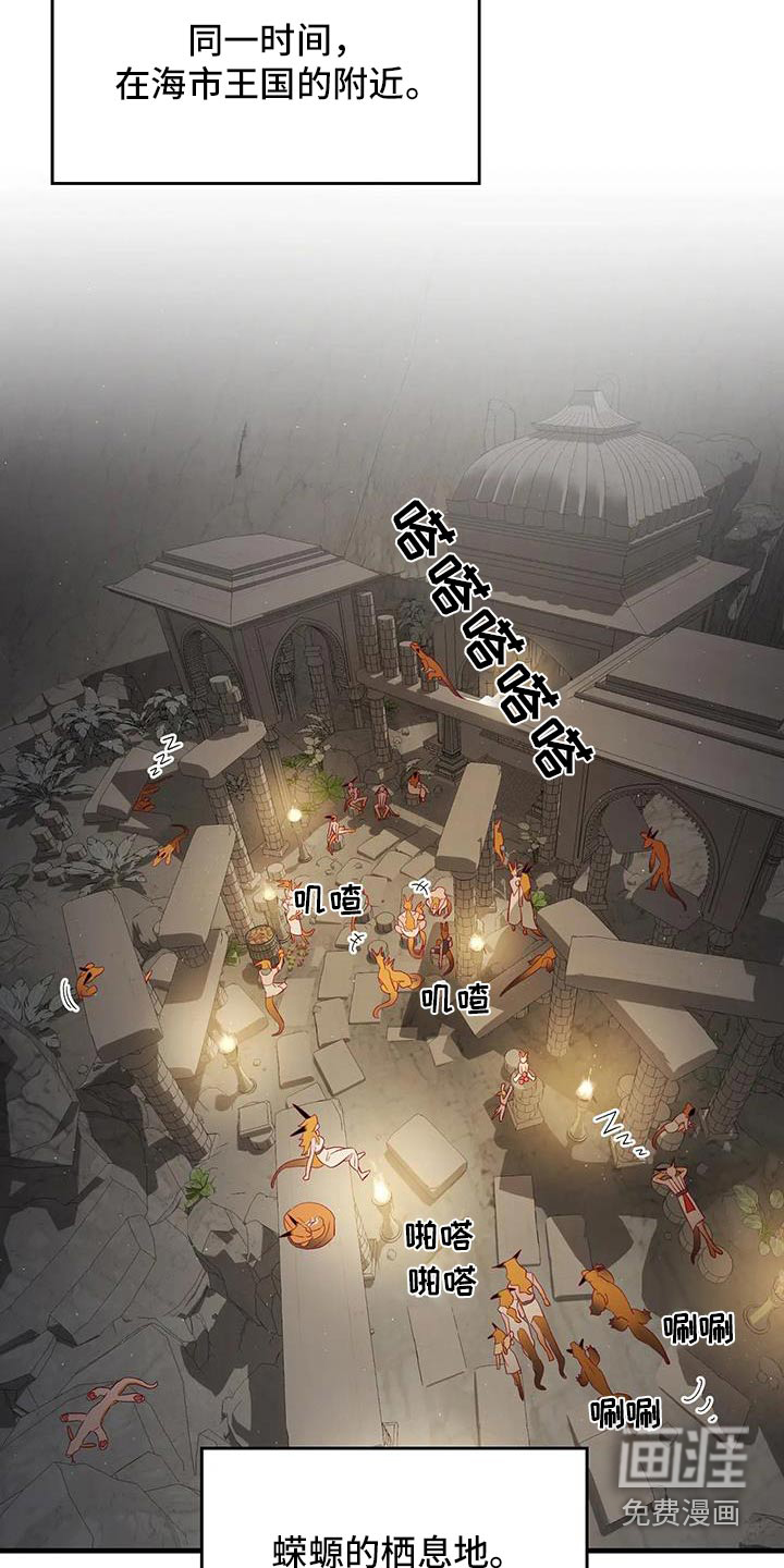 第164话17