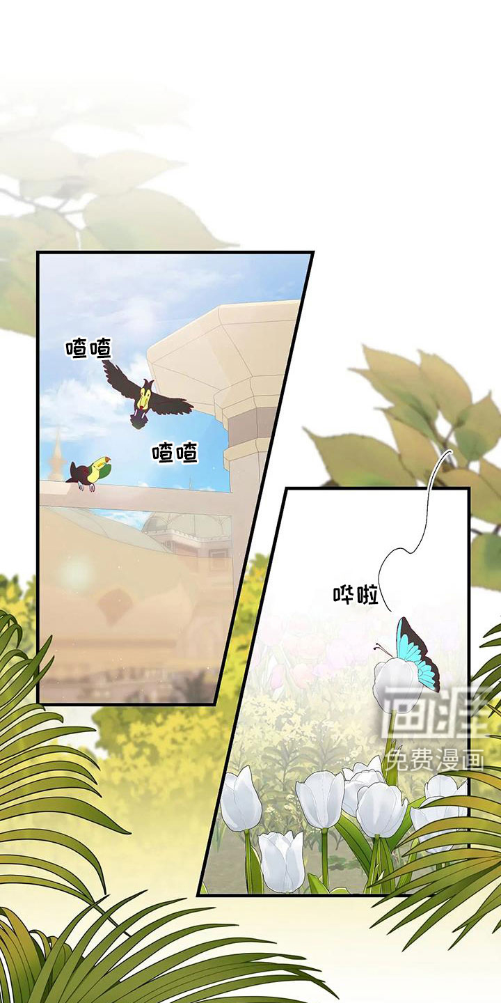 第105话0