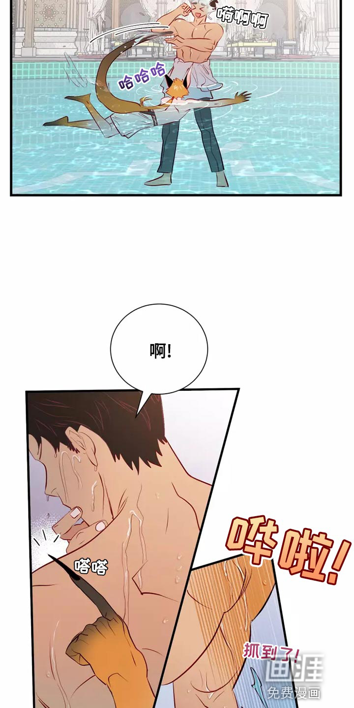 第60话16