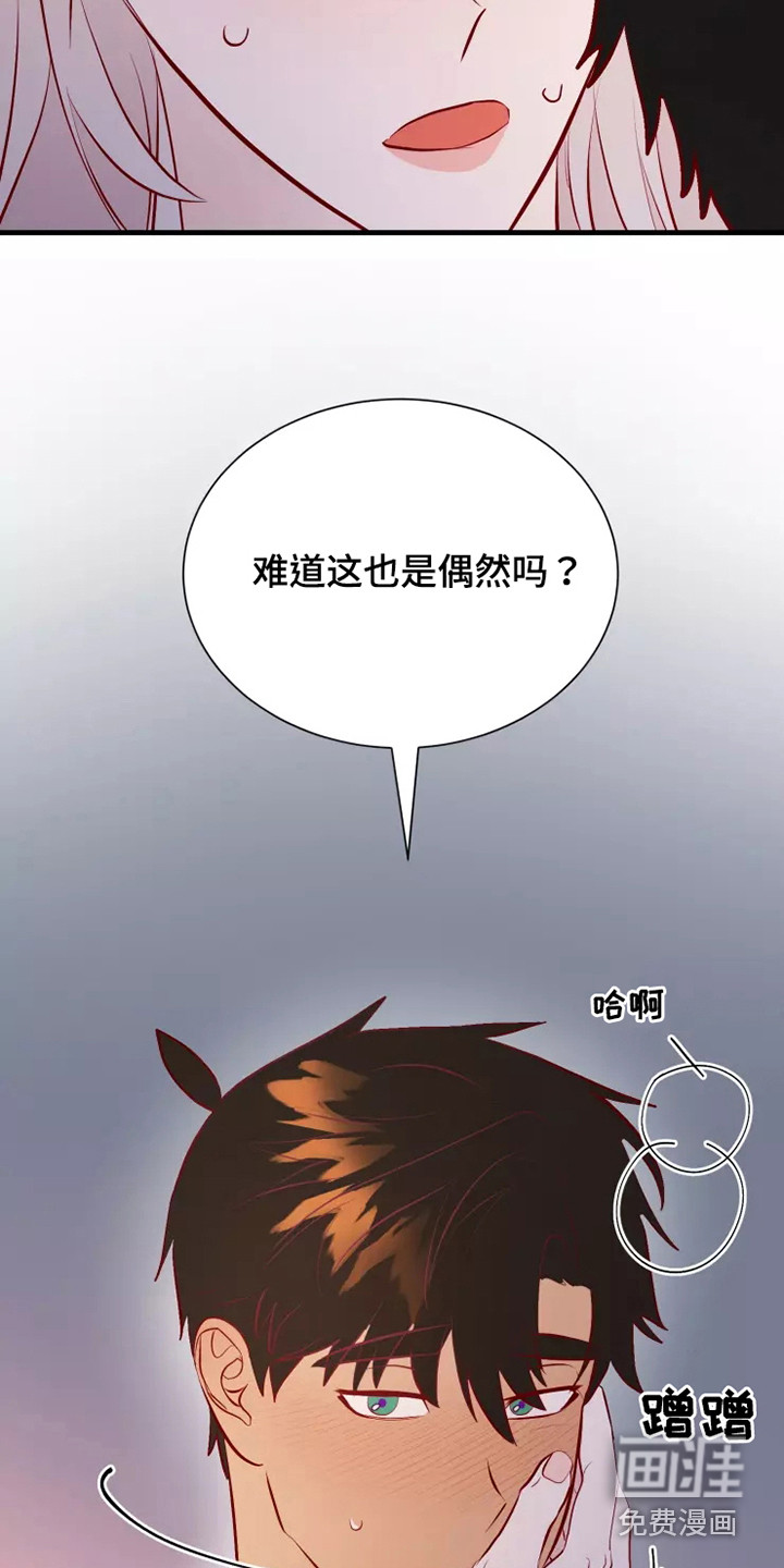 第51话14