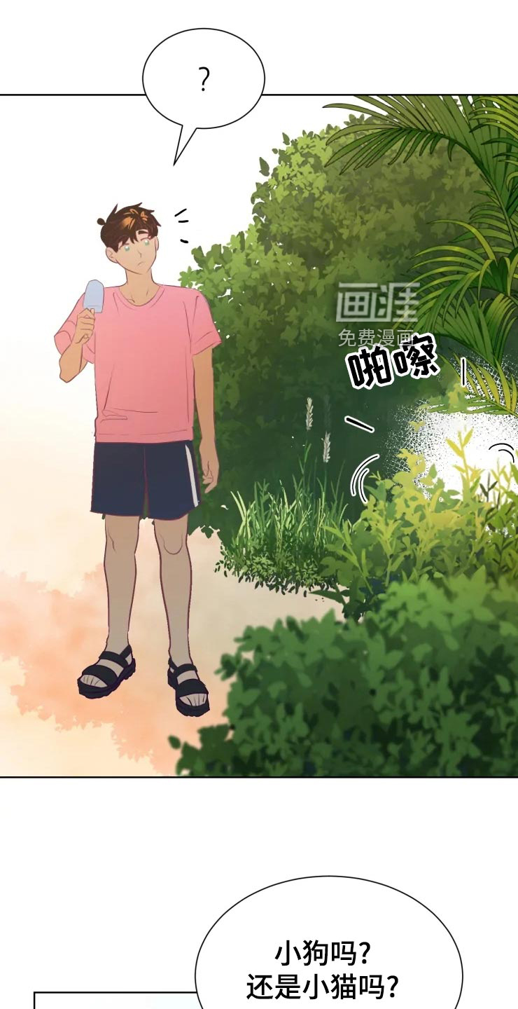 第28话22