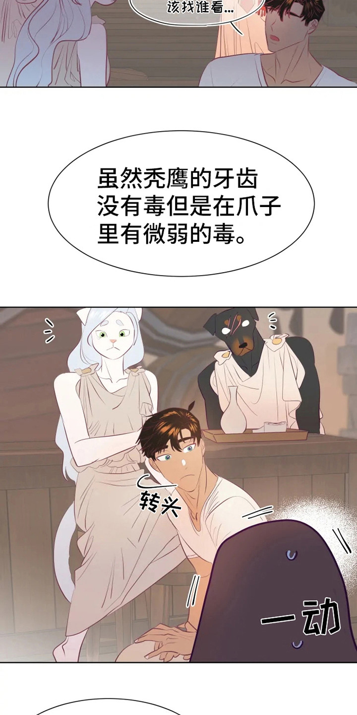 第11话13
