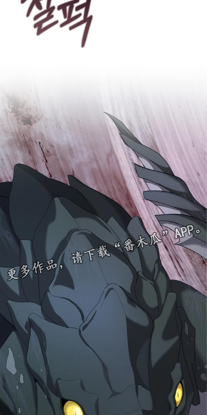 第95话19