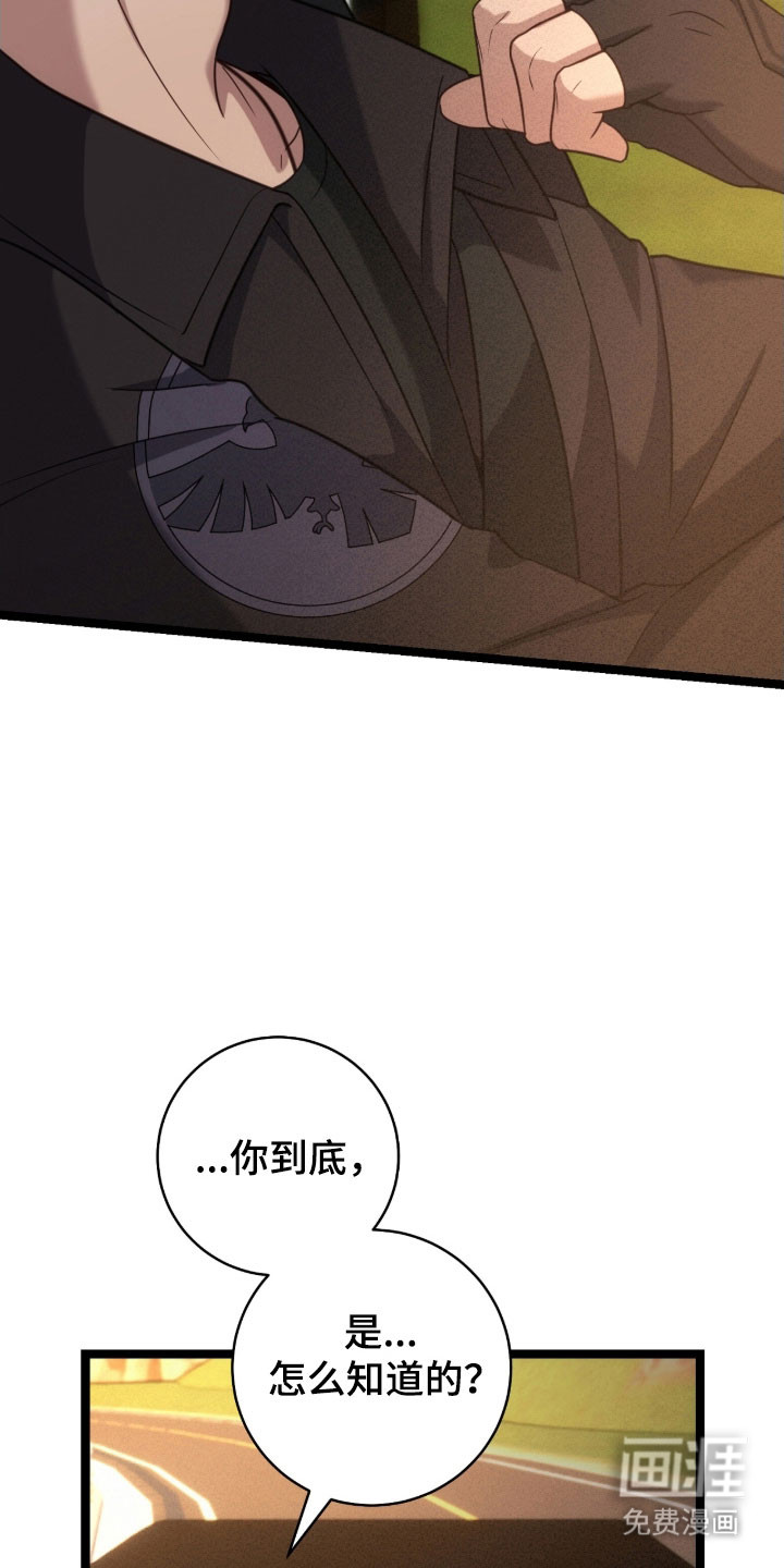 第43话17