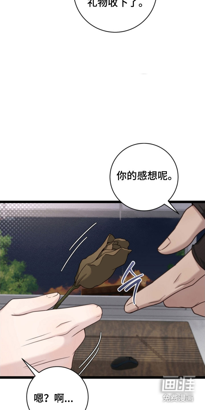 第26话22