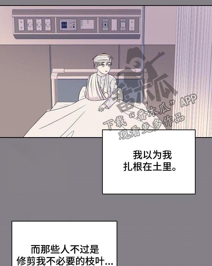 第49话5