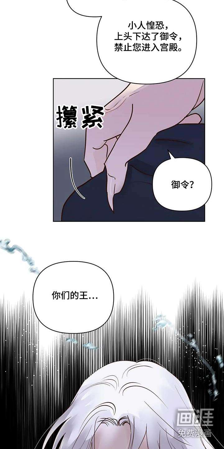 第79话17