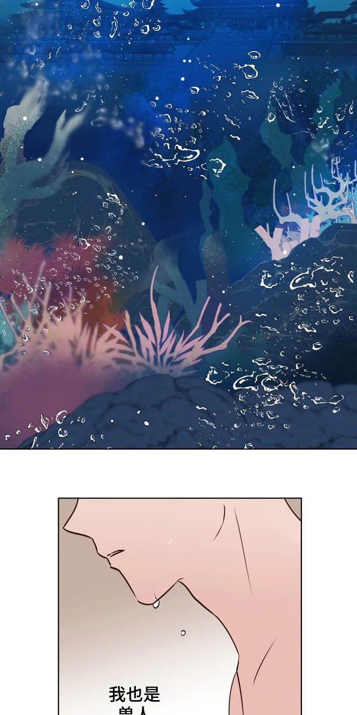第15话4