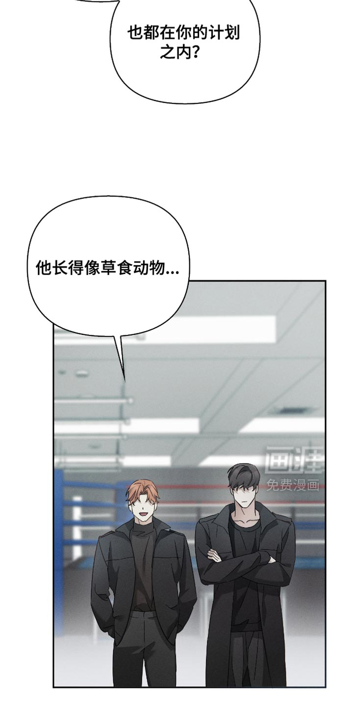 第26话17