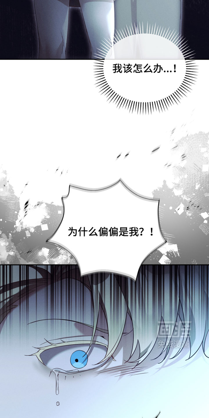 第41话19