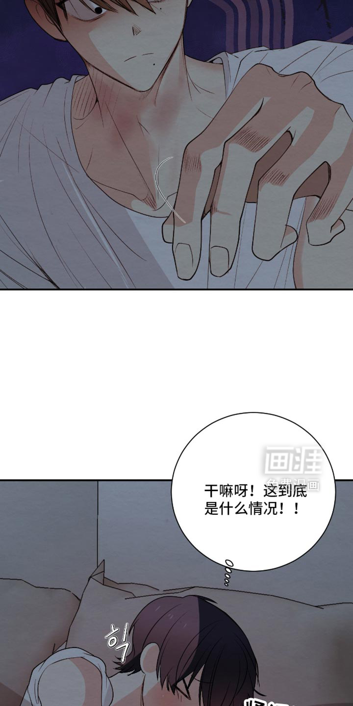 第29话11
