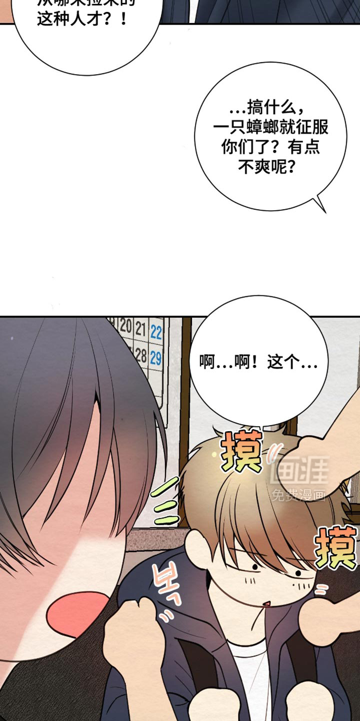 第20话4