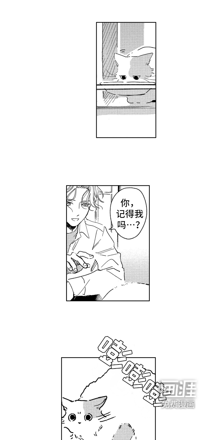 第25话3