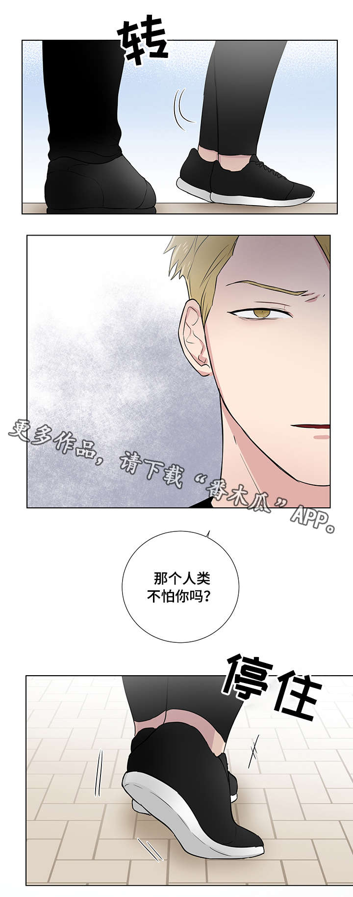 第22话11