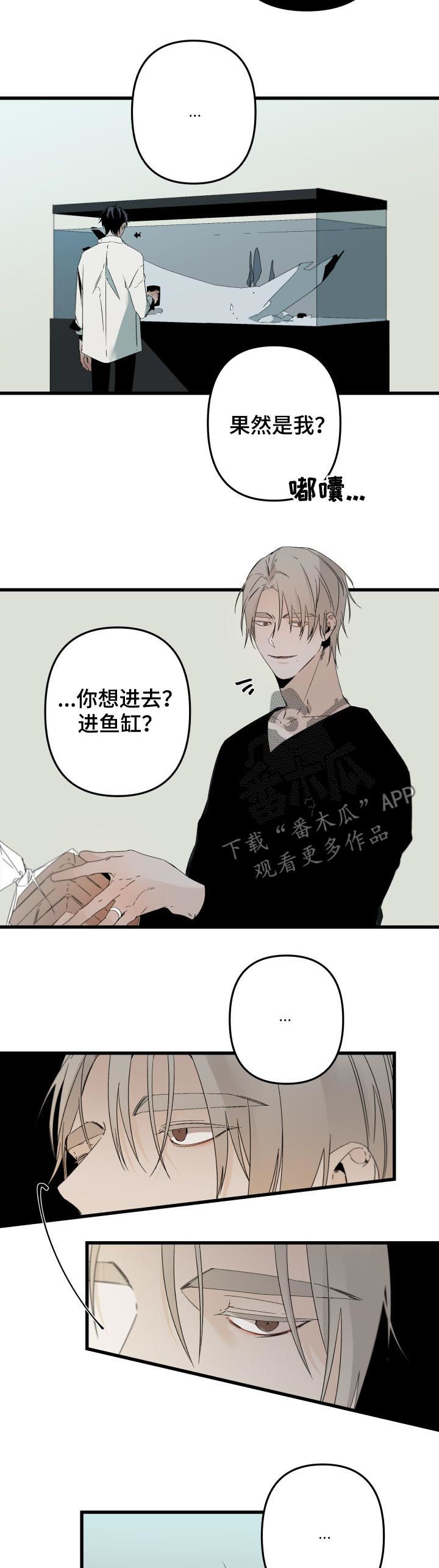第114话1