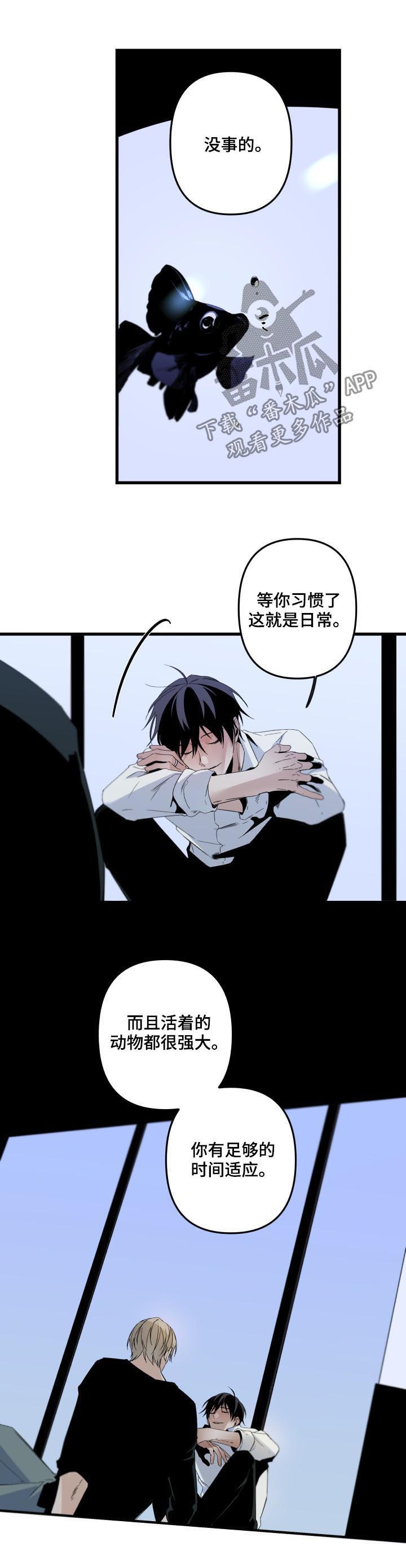 第113话4