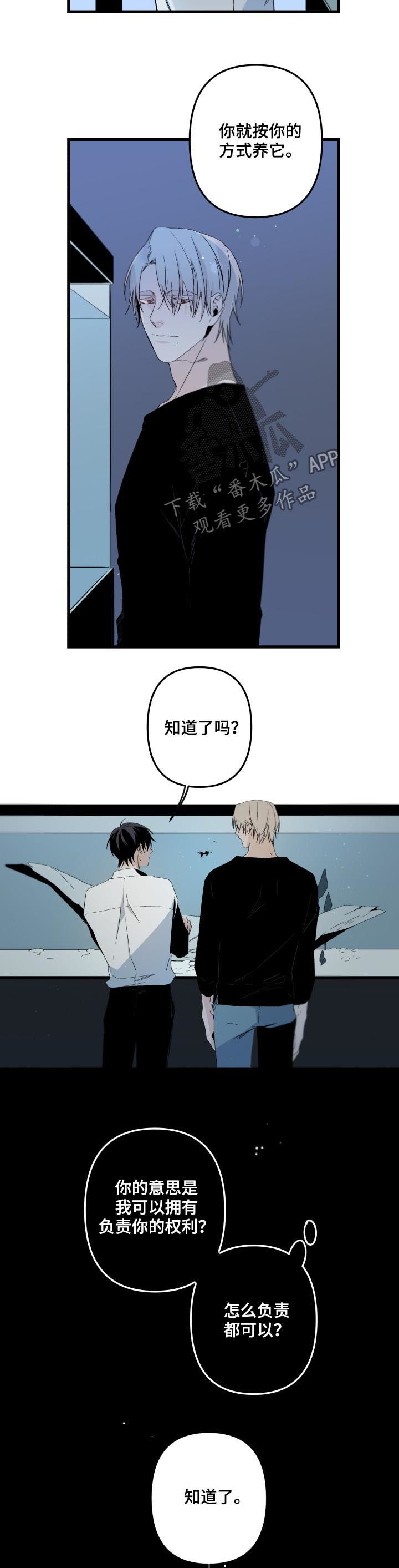 第113话6