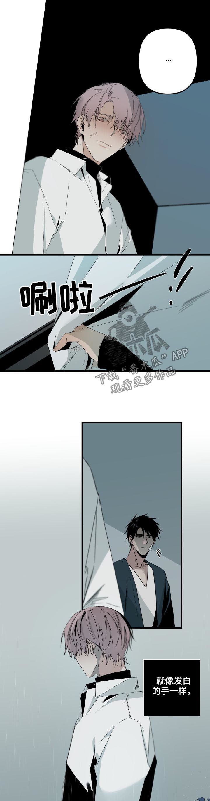 第110话3