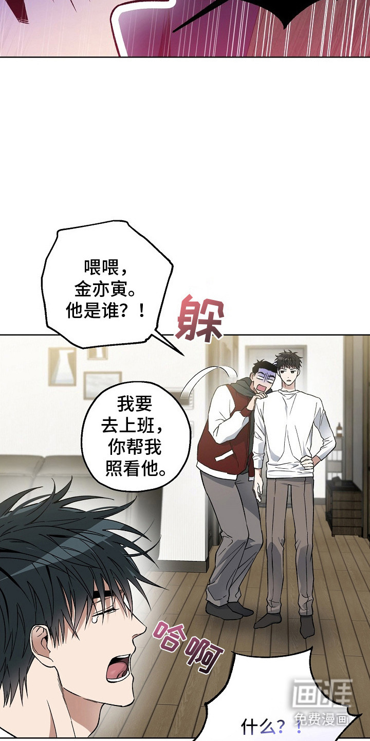 第11话13