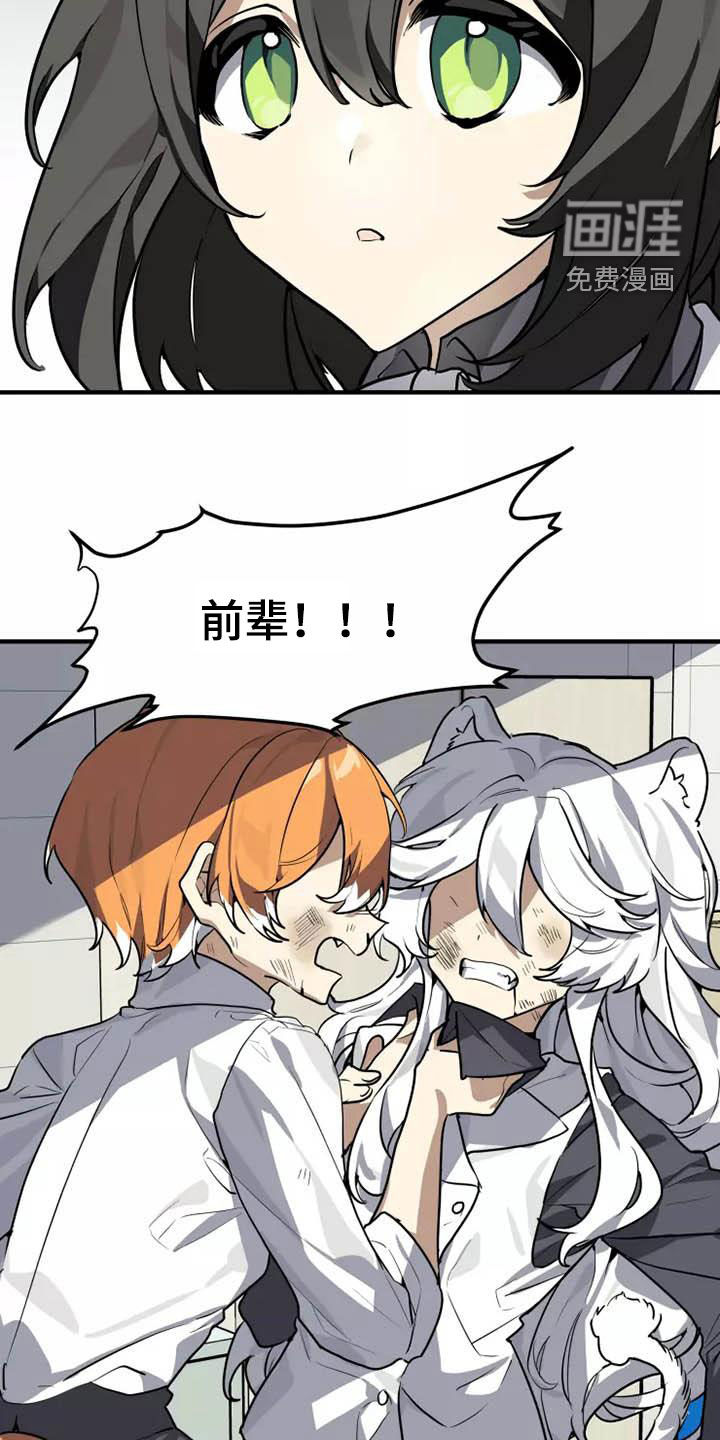 第33话1