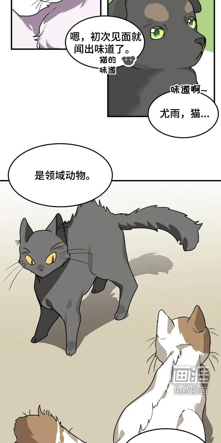 第19话10